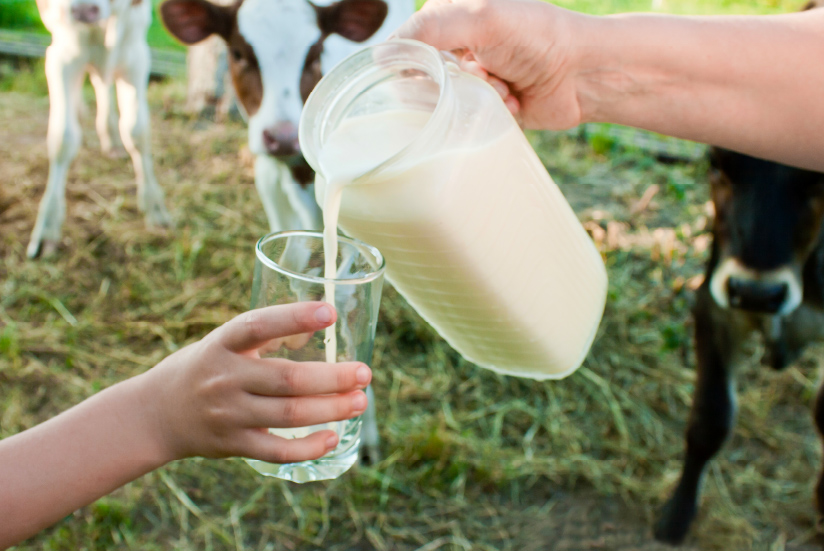 Consumo de leche de un niño en una granja.