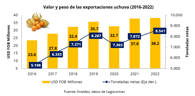 Crecimiento de las exportaciones de uchuva, una de las frutas exoticas de Colombia, entre el 2016 y el 2022.