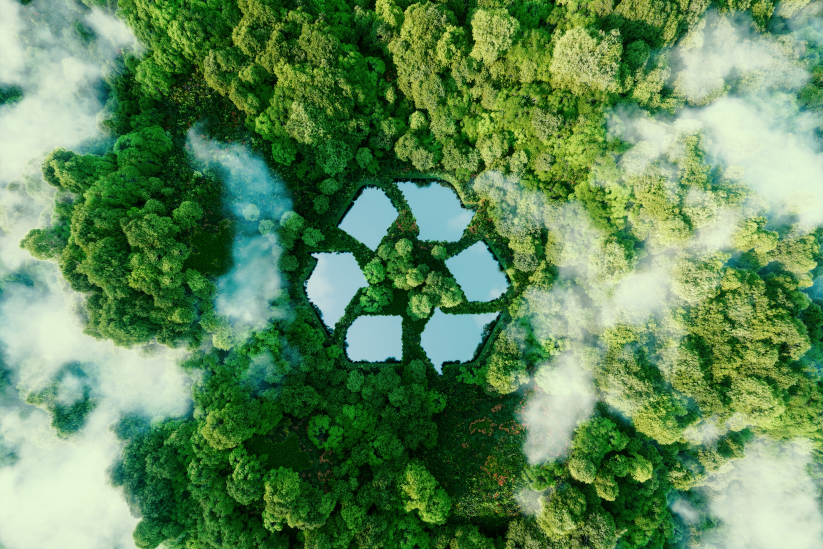 Industria del reciclaje en Colombia simbolizada en uno de sus bosques, lo que recalca la importancia del reciclaje. 